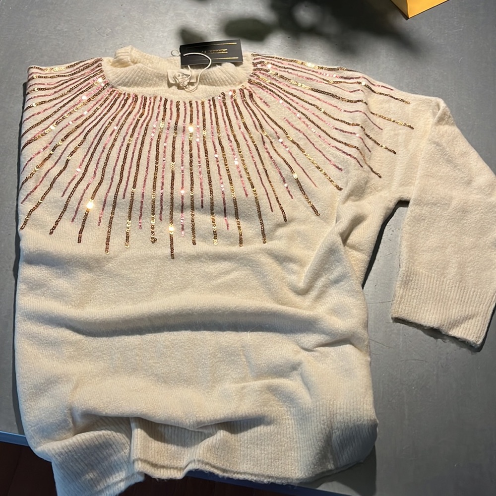 NWT Oversized holiday sweater 1X